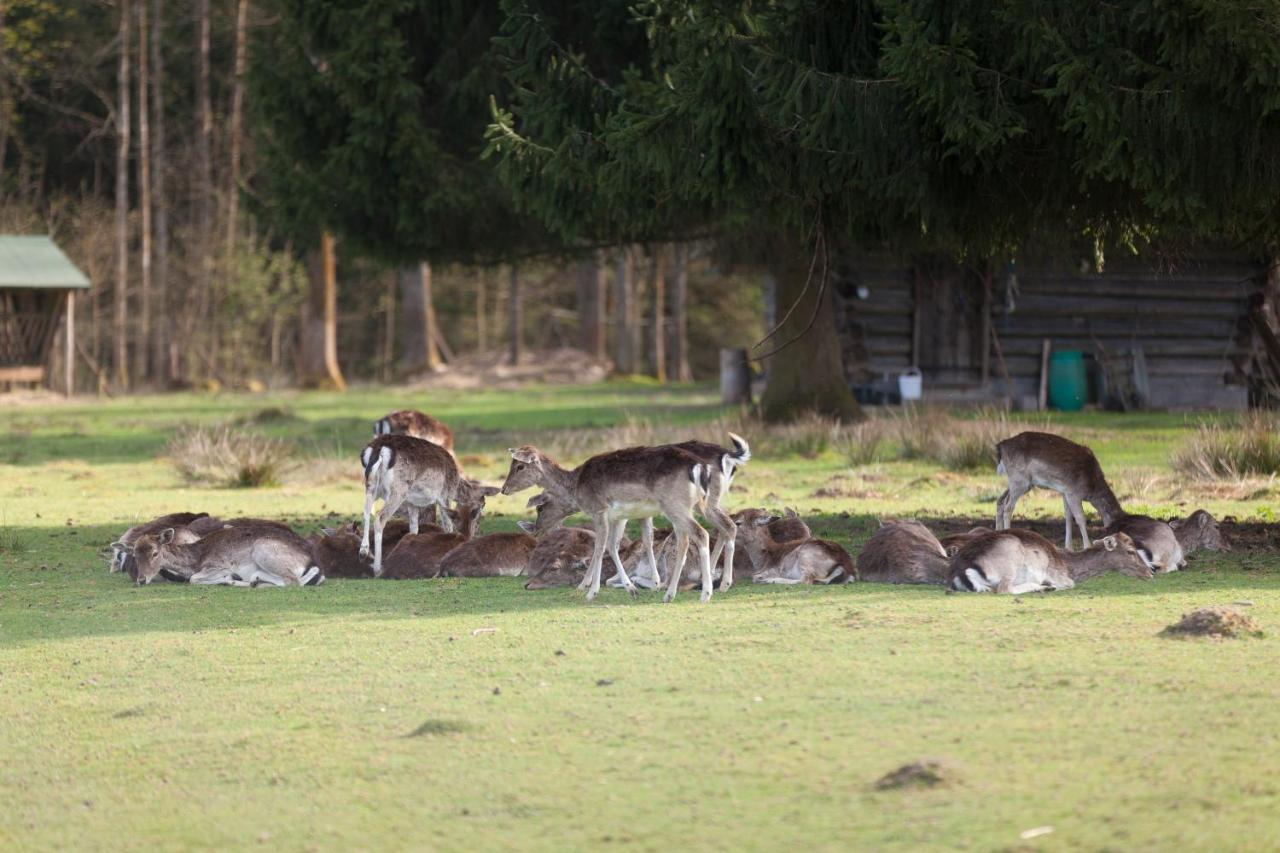 Hotel Forsthaus Woernbrunn Grünwald Esterno foto